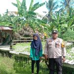 IMG-20260617-WA0022