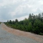 IMG-20260713-WA0029